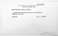 Image Associated With the Occurrence